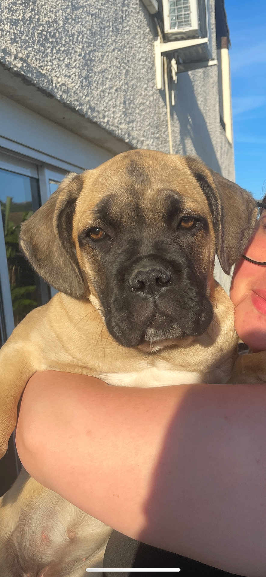 Arya