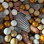 Liham a rejoint le concours — aidez-le/la à gagner de superbes lots ! baby, ball_pit, balls, beige_balls, child, colorful, cute, foot, gold_balls, hand, indoor, infant, person, play, skin, striped_clothing, toy, transparent_balls, white_balls, young