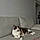 Minette