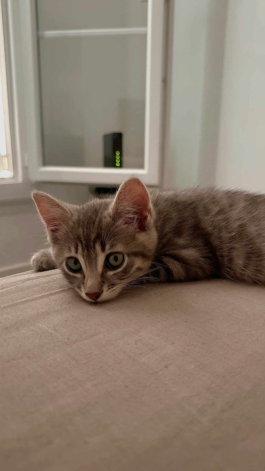 Milo