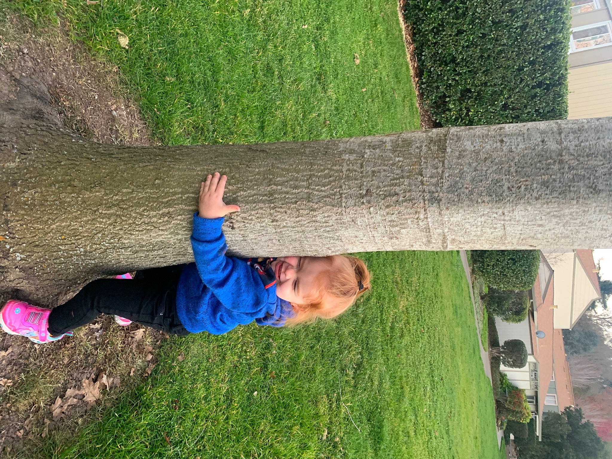 Journey-rose joined the competition — help win amazing prizes! child, fun, garden, grass, grass_family, grassland, green, groundcover, hedge, lawn, leisure, people_in_nature, person, plant, play, recreation, shrub, toddler, tree, trunk