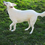 ANDGEL participe au concours pour gagner de l'argent avec cette photo :