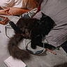 animal, bed, bedroom, black_cat, blanket, cat, cozy, eyewear, fluffy, glasses, indoors, notebook, pen, person, pet, pillow, relaxing, remote_control, sleeping, stationery