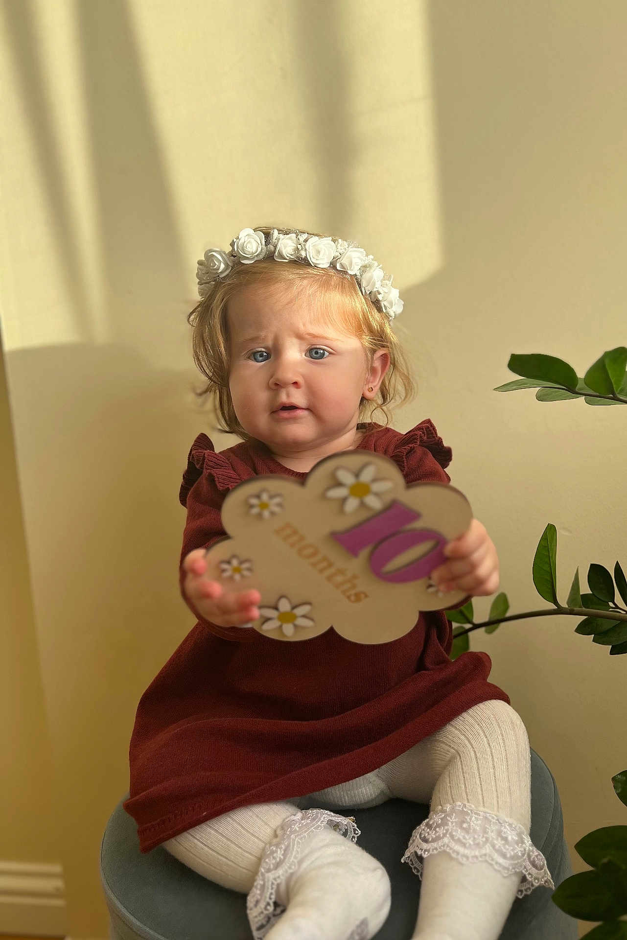 Victoria is registered to the contest to win money with this photo: baby, child, flower_crown, maroon_dress, white_tights, sitting, holding_sign, indoor, plant, stool, portrait, cute, infant, decor, soft_lighting, expression, ten_months, wall, shadow, young_child