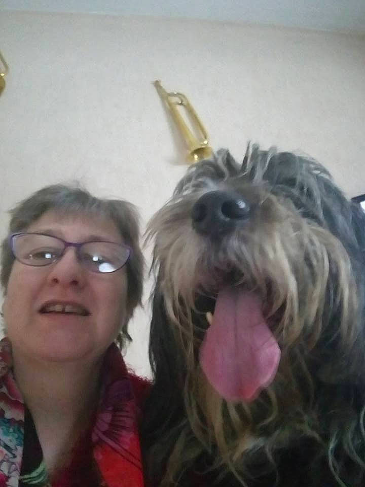 Bandy participe au concours pour gagner de l'argent avec cette photo : bearded_collie, cairn_terrier, carnivoran, catalan_sheepdog, cockapoo, dog, dog_breed, dog_breed_group, dog_like_mammal, ear, havanese, lhasa_apso, lowchen, person, sapsali, schnauzer, schnoodle, snout, terrier, tibetan_terrier