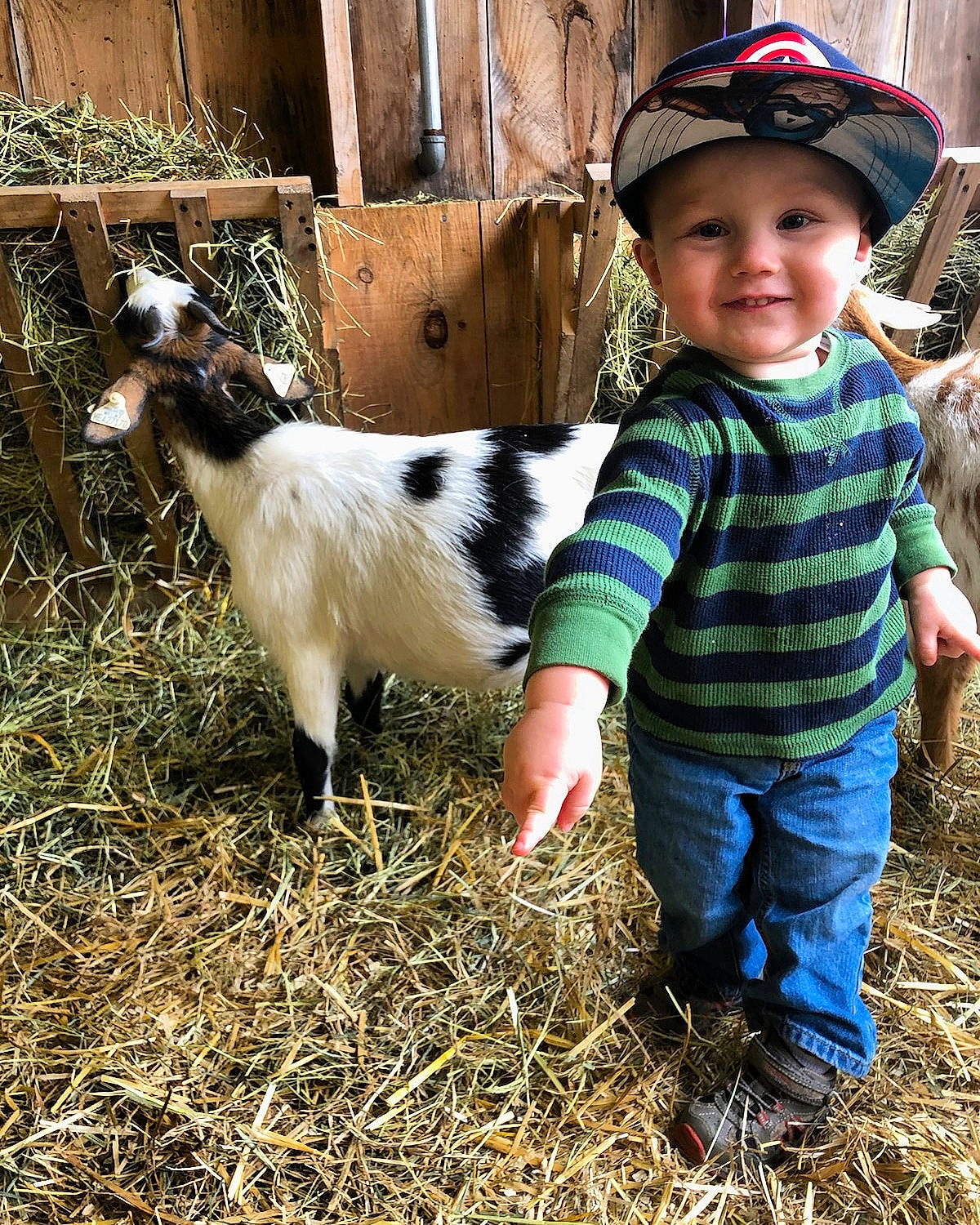 Dana joined the competition — help win amazing prizes! baby, child, cow_goat_family, farm, goat, goat_antelope, goats, hay, joy, landscape, livestock, person, plant, smile, straw, toddler