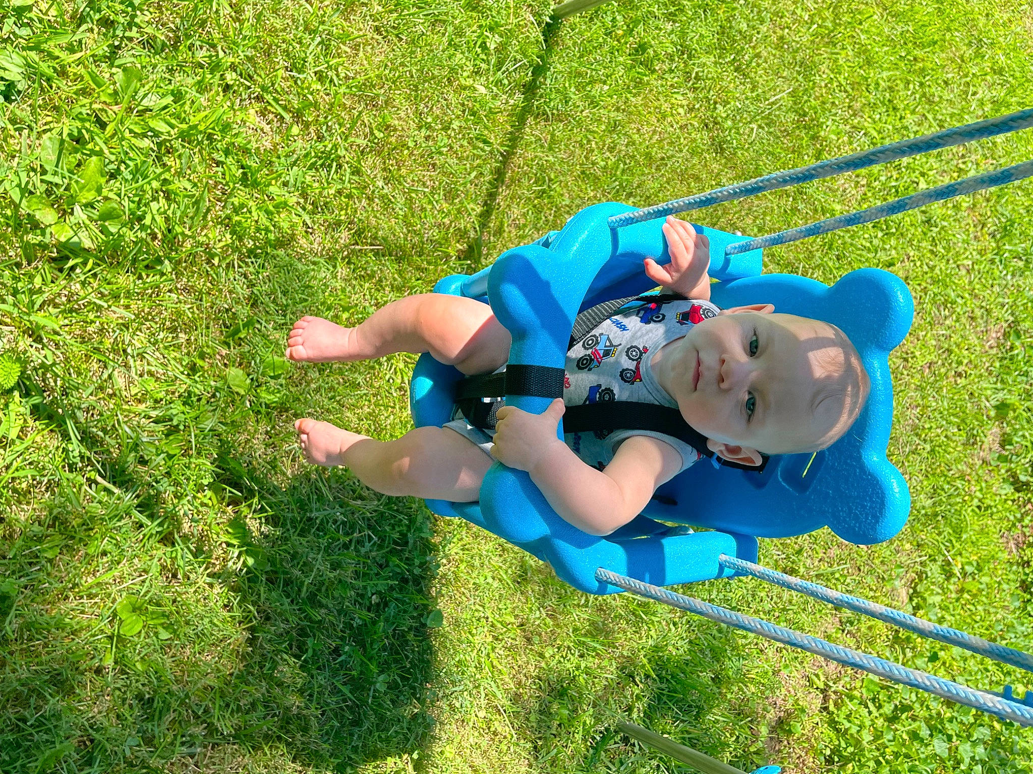 Casey joined the competition — help win amazing prizes! child, electric_blue, fun, grass, grass_family, grassland, lawn, leisure, outdoor_play_equipment, outdoor_recreation, people_in_nature, person, plant, play, playground, recreation, rope, shorts, sneakers, swing