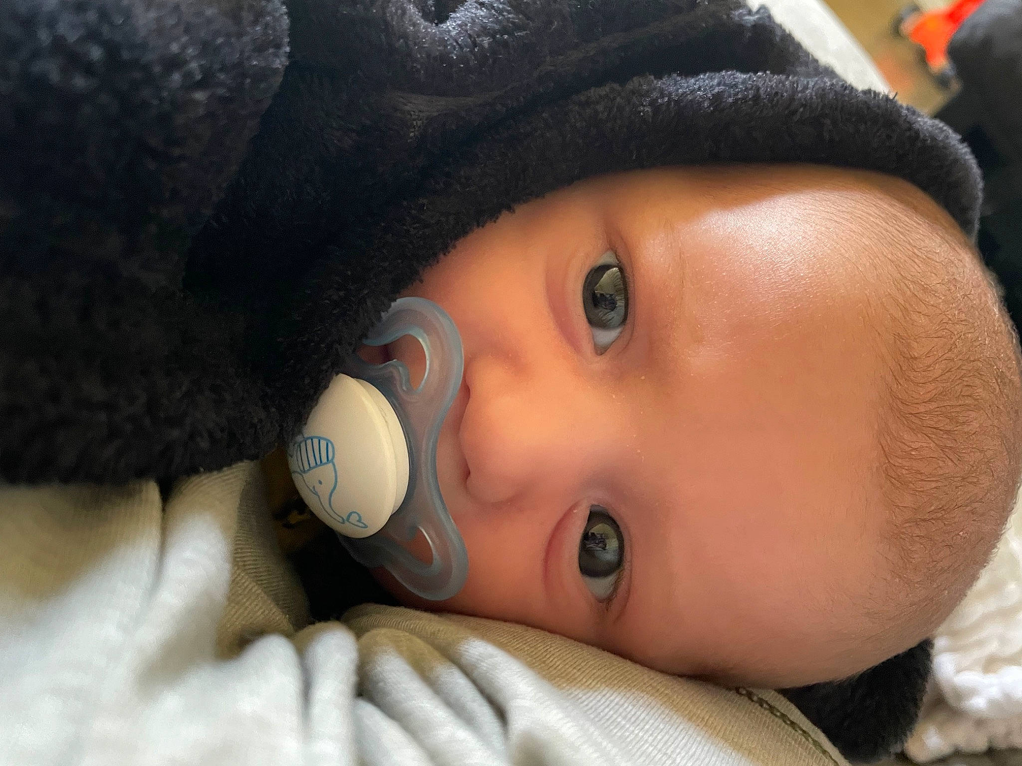 Kaiden is registered to the contest to win money with this photo: baby, cap, cheek, child, close_up, cool, doll, eye, eyebrow, eyelash, fur, hat, headgear, iris, lip, nose, person, skin, sun_hat, textile