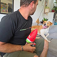 Tokyo a rejoint le concours — aidez-le/la à gagner de superbes lots ! black_tshirt, blue_eye, bracelet, casual_clothing, couch, dog, hanging_plant, happy, home, indoor, living_room, man, pet, plant, seated, shorts, smiling_dog, tongue_out, toy, vape