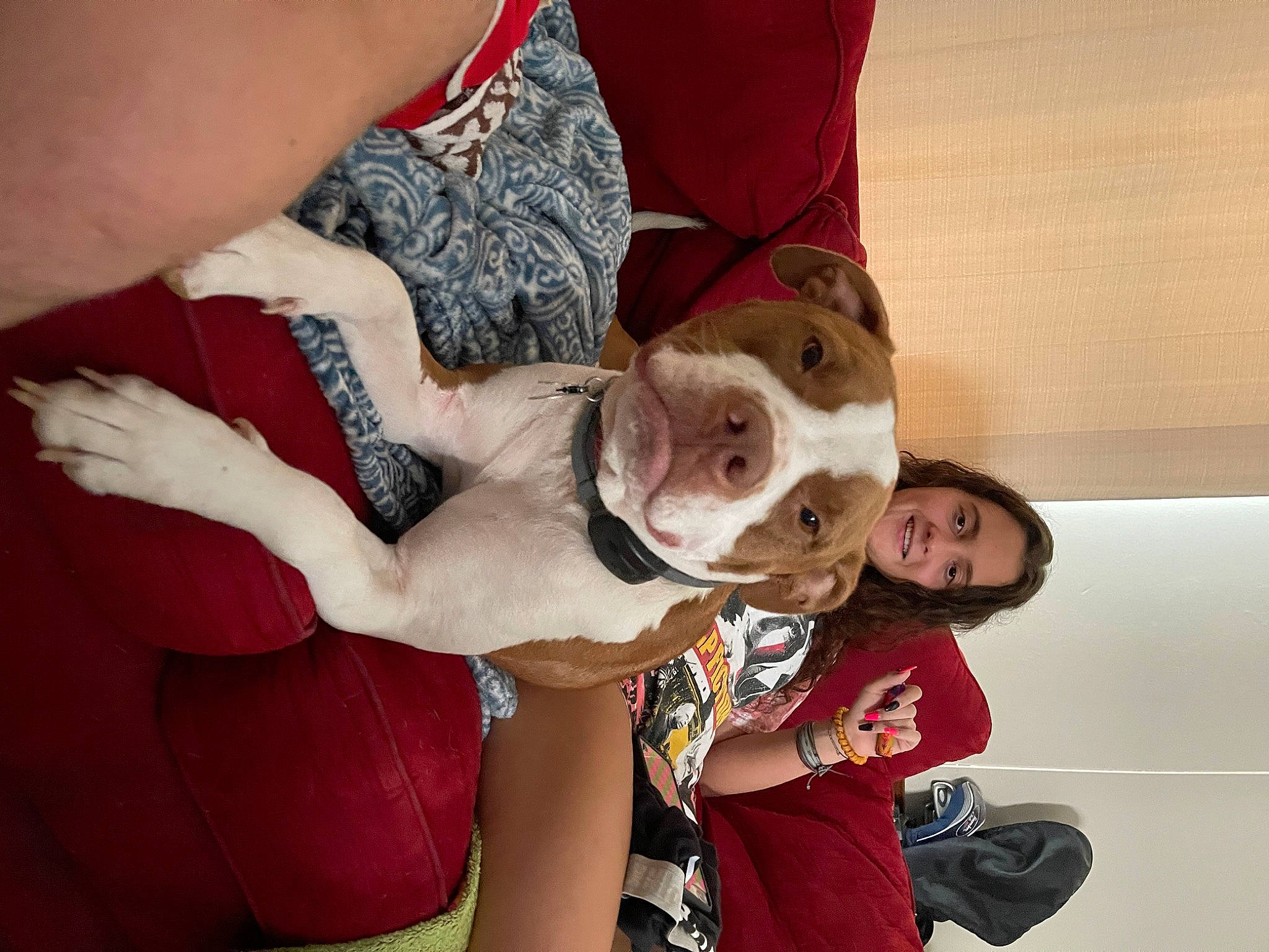 Godric is registered to the contest to win money with this photo: abdomen, arm, canidae, carnivore, child, comfort, companion_dog, dog, dog_breed, event, fawn, fun, fur, gesture, happy, human_leg, nail, thigh, tree, trunk