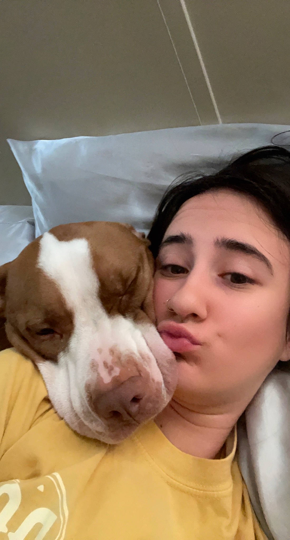 Godric is registered to the contest to win money with this photo: canidae, carnivore, comfort, companion_dog, dog, dog_breed, ear, eyelash, fur, gesture, happy, liver, non_sporting_group, pointer, puppy_love, selfie, snout, sporting_group, white, working_animal