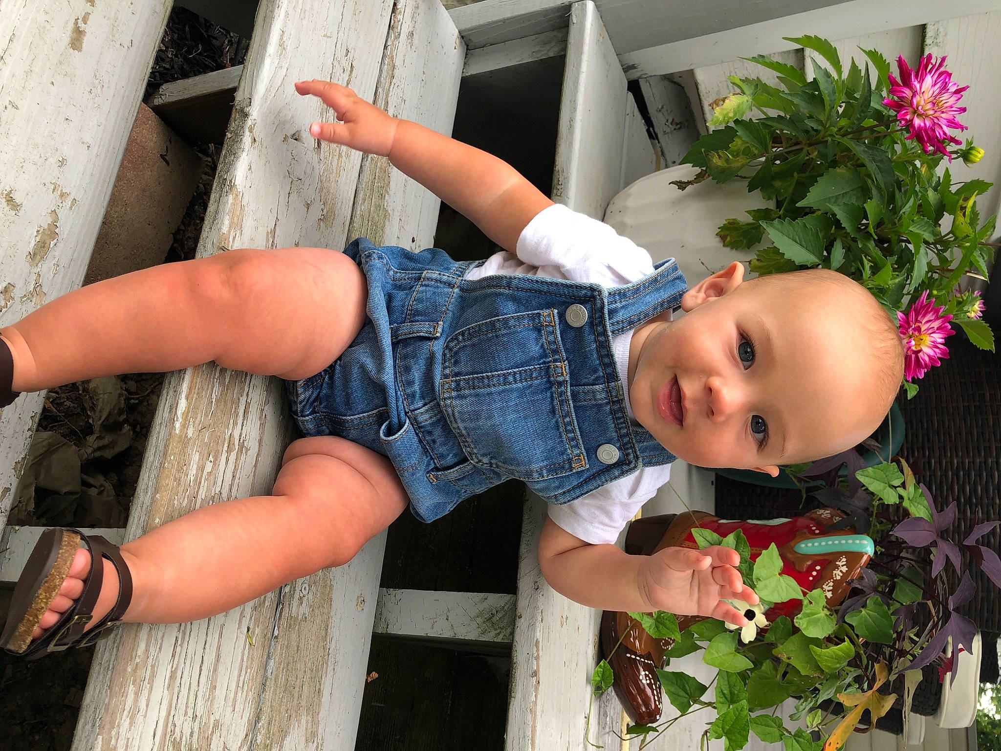 Reed is registered to the contest to win money with this photo: baby, baby_toddler_clothing, beauty, child, denim, flower, flower_arranging, fun, glasses, grass, happy, human_leg, leisure, person, plant, red, rose, smile, summer, thigh