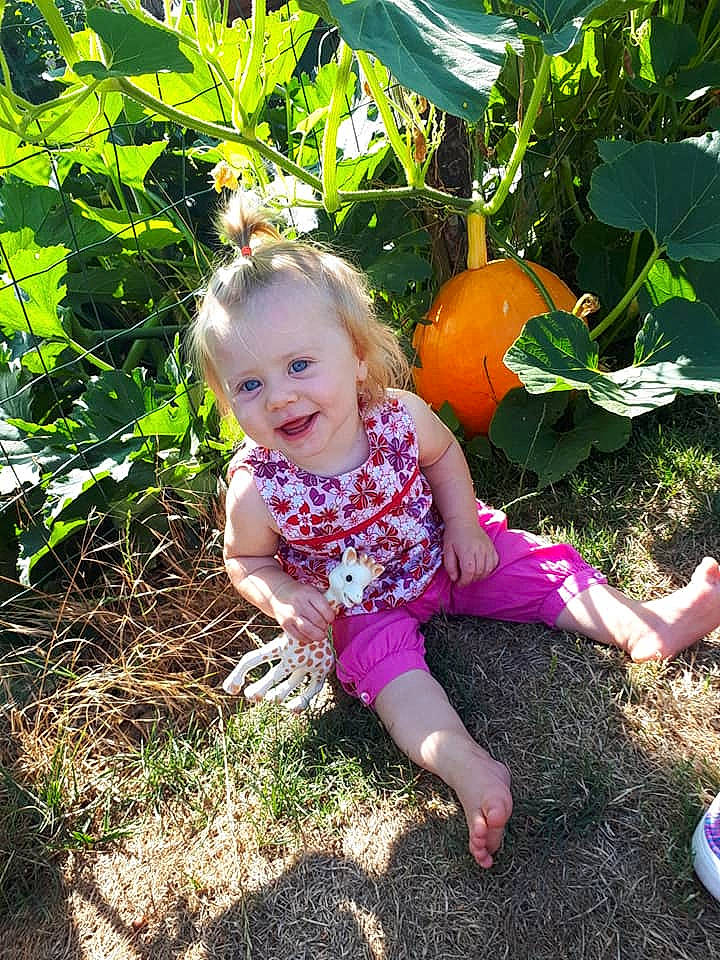 Eléna participe au concours pour gagner de l'argent avec cette photo : child, flower, food, fruit, fruit_tree, garden, leaf, local_food, orange, person, plant, pumpkin, toddler, tree, vegetable