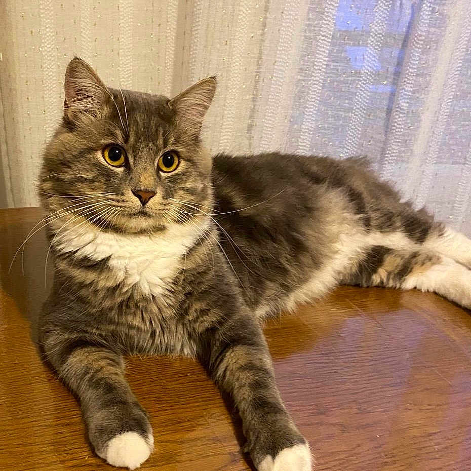 Leo