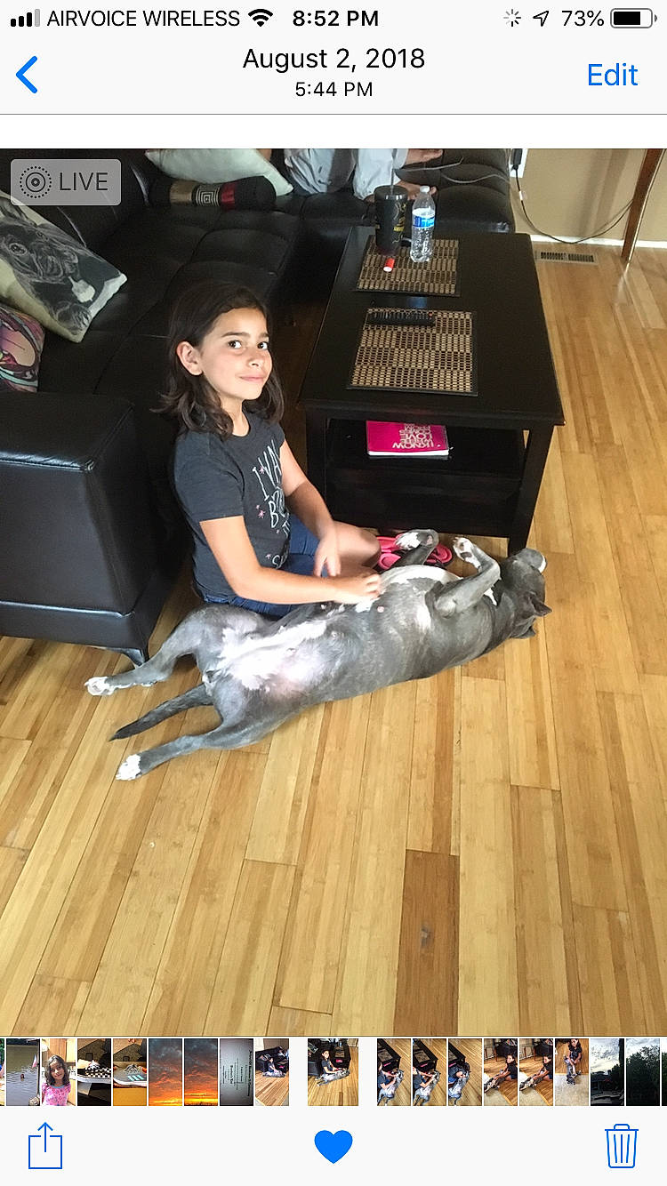 Kenzie joined the competition — help win amazing prizes! black_hair, denim, floor, flooring, footwear, hardwood, jeans, leg, person, photography, room, shoe