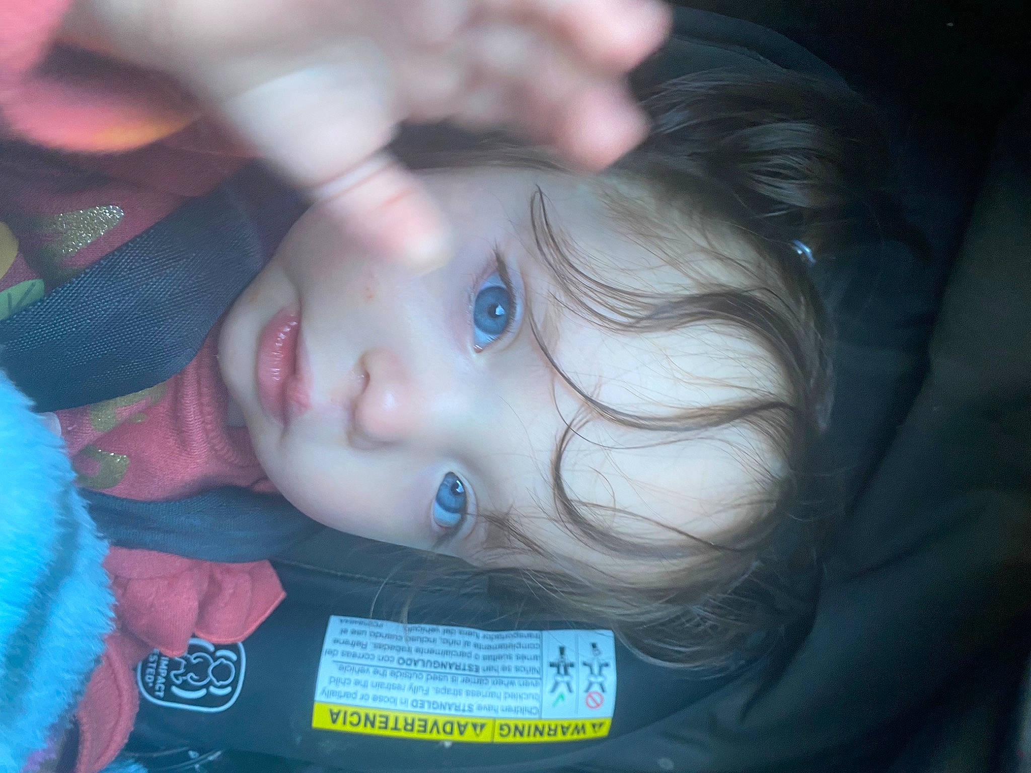 Carolina is registered to the contest to win money with this photo: baby, cheek, chin, cool, ear, eye, eyebrow, eyelash, facial_expression, hairstyle, happy, head, iris, lip, mouth, neck, nose, person, skin, sleeve