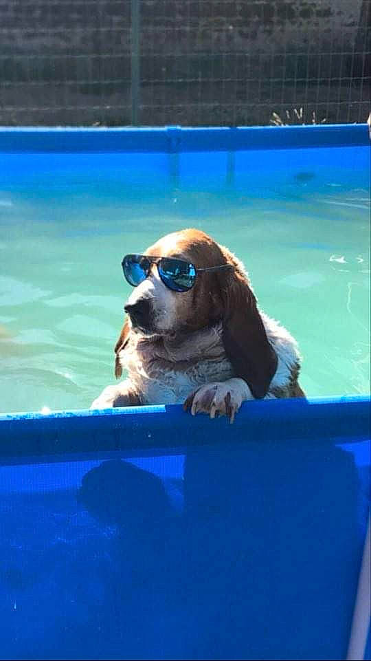 Eugenie Dite Gégène