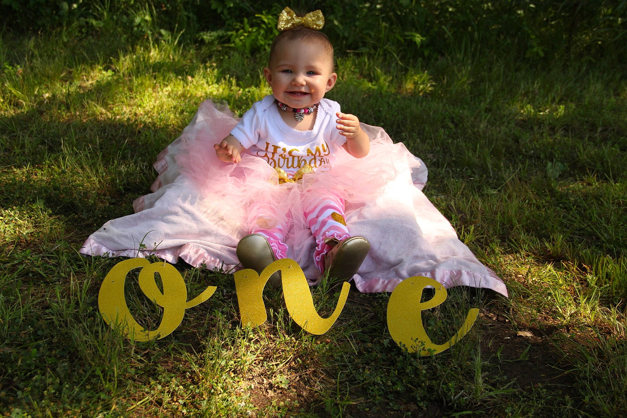 Arrabella is registered to the contest to win money with this photo: ballet_tutu, child, costume, dress, flower, fun, grass, joy, person, plant, play, sitting, smile, toddler