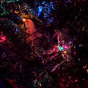Soso joined the competition — help win amazing prizes! cat, christmas_tree, holiday_lights, colorful, night, festive, animal, pet, curious, face, closeup, dark, decorations, indoor, bright, glowing, whiskers, greenery, ornaments, celebration