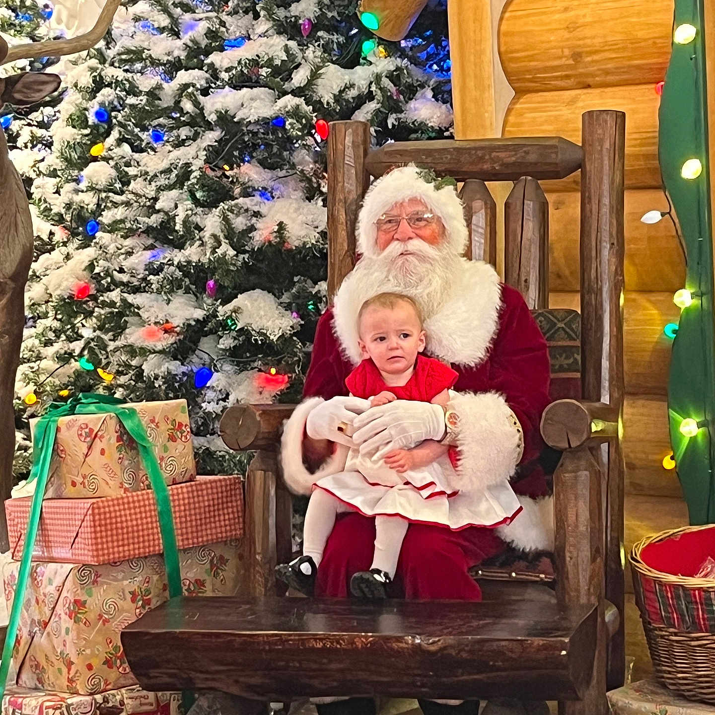 Ruby joined the competition — help win amazing prizes! baby, chair, christmas, christmasdecorations, christmastree, clothing, face, festival, footwear, furniture, head, person, plant, pottedplant, santaclaus, shoe, tree, wood