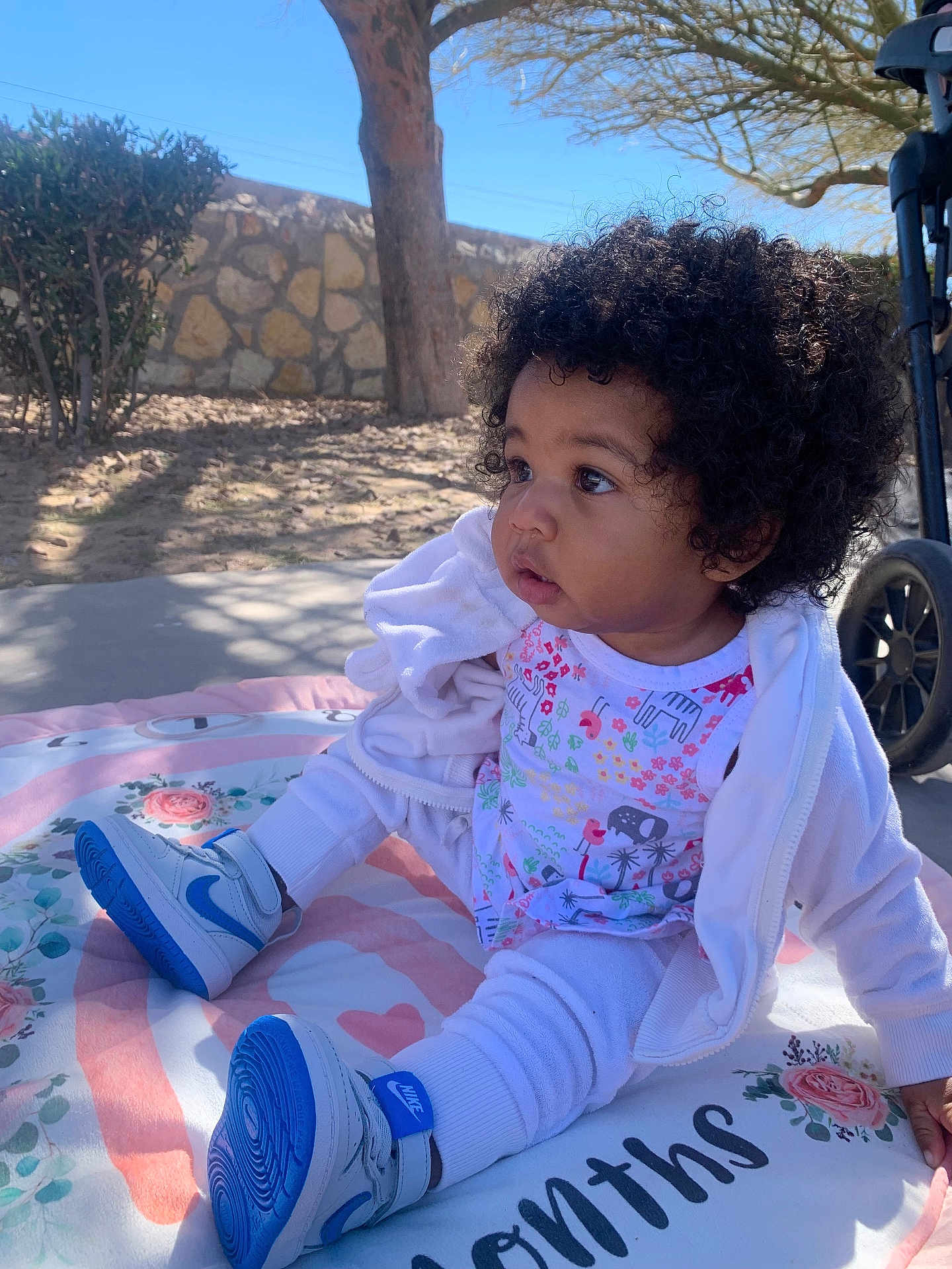Amira