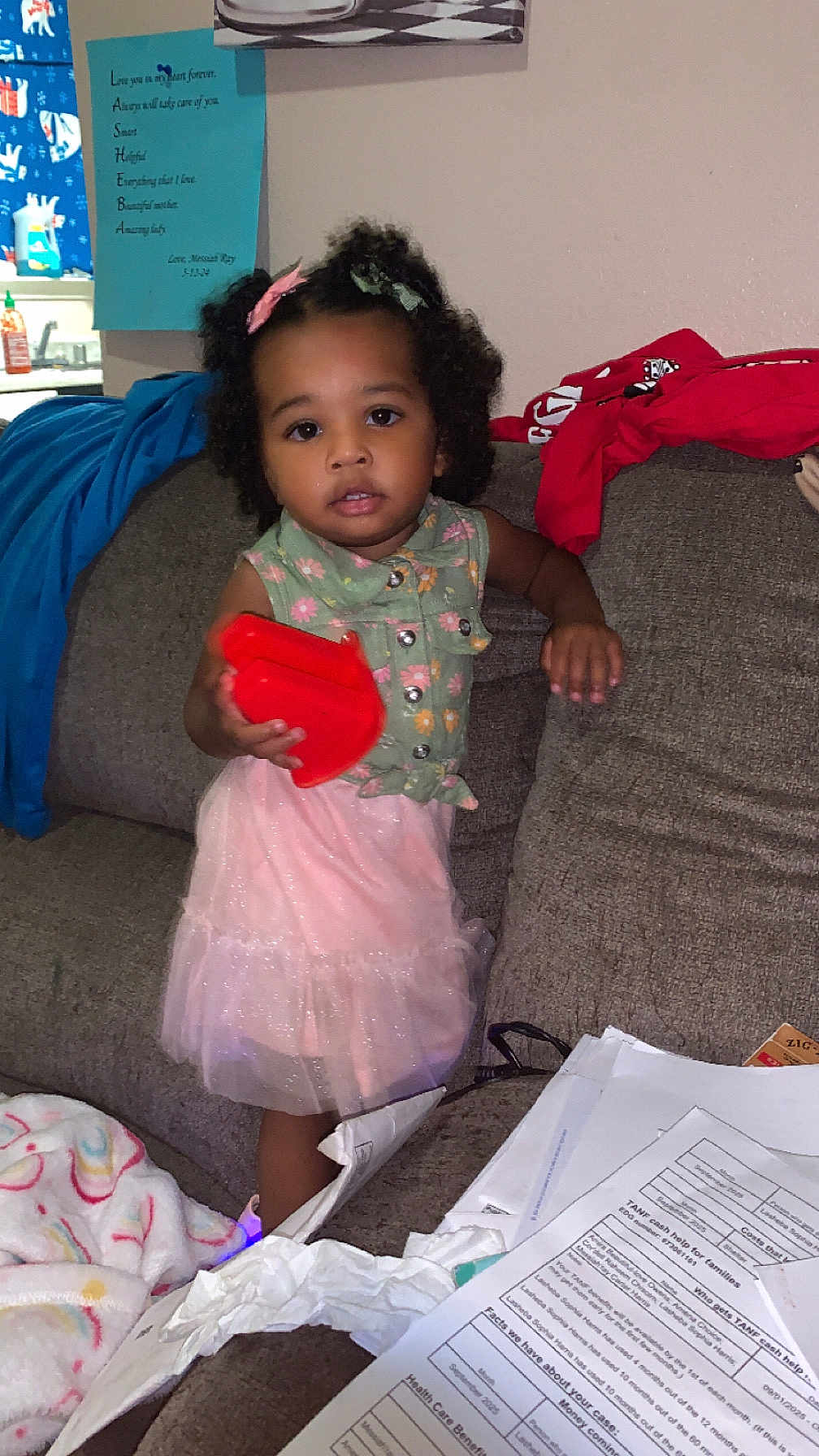 Amira