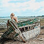 dog, beach, old_boat, sand, water, sky, clouds, outdoor, animal, pet, wood, shore, nature, sea, vintage, rustic, landscape, standing, fluffy, daytime