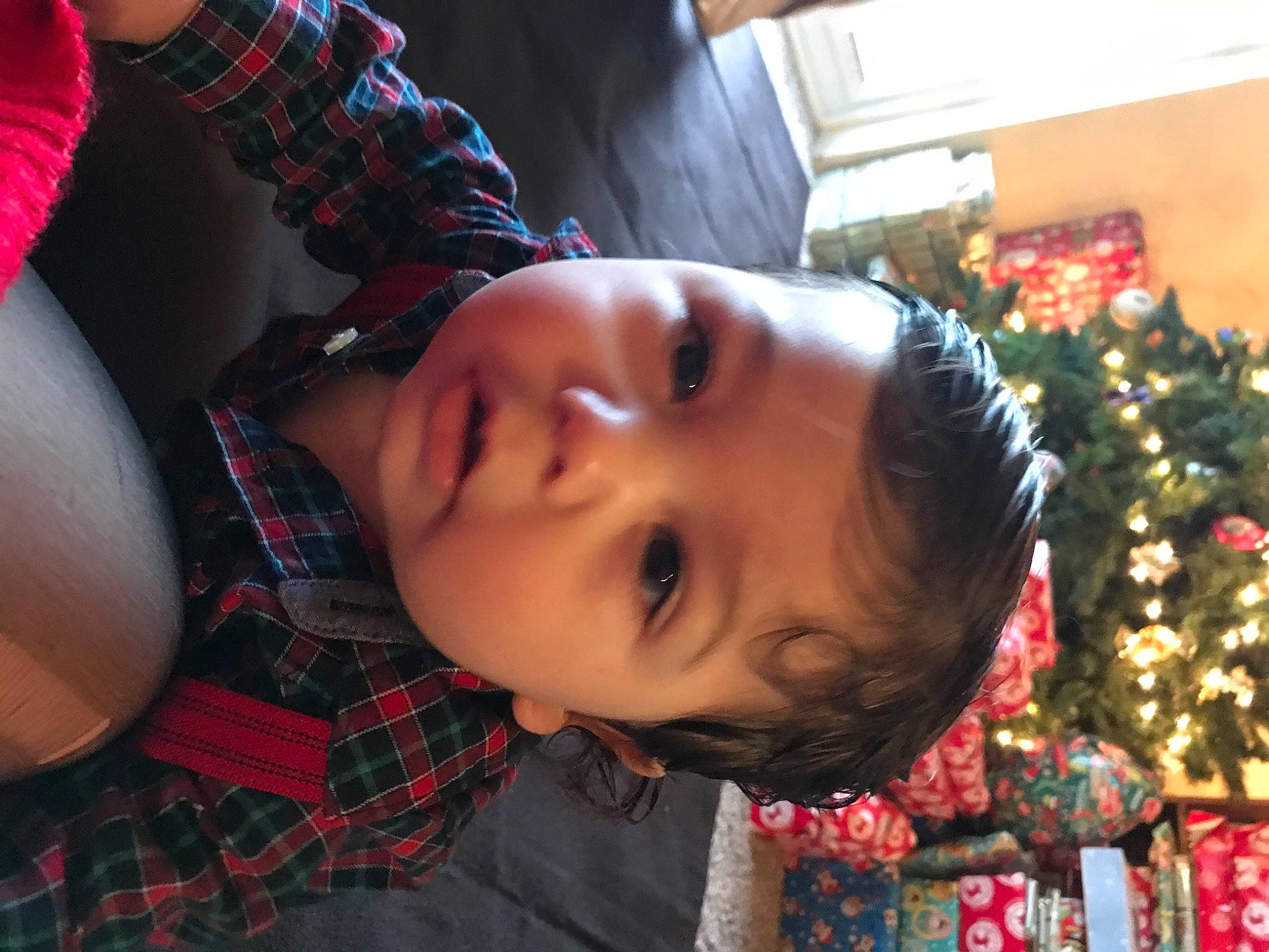 Kylo joined the competition — help win amazing prizes! baby, beauty, cheek, child, christmas, christmas_tree, event, fun, happy, head, holiday, holiday_ornament, nose, ornament, pattern, person, plaid, plant, tartan, toddler