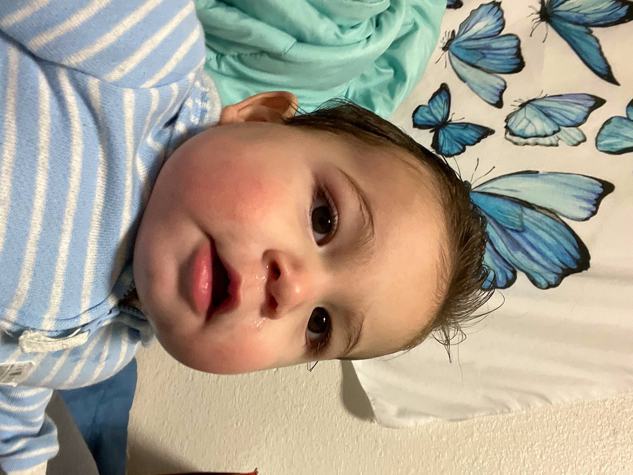 Zaiden joined the competition — help win amazing prizes! baby, baby_toddler_clothing, cheek, eyebrow, eyelash, fashion_accessory, fun, fur, happy, insect, iris, linens, lip, nose, pattern, person, pollinator, portrait_photography, smile, textile