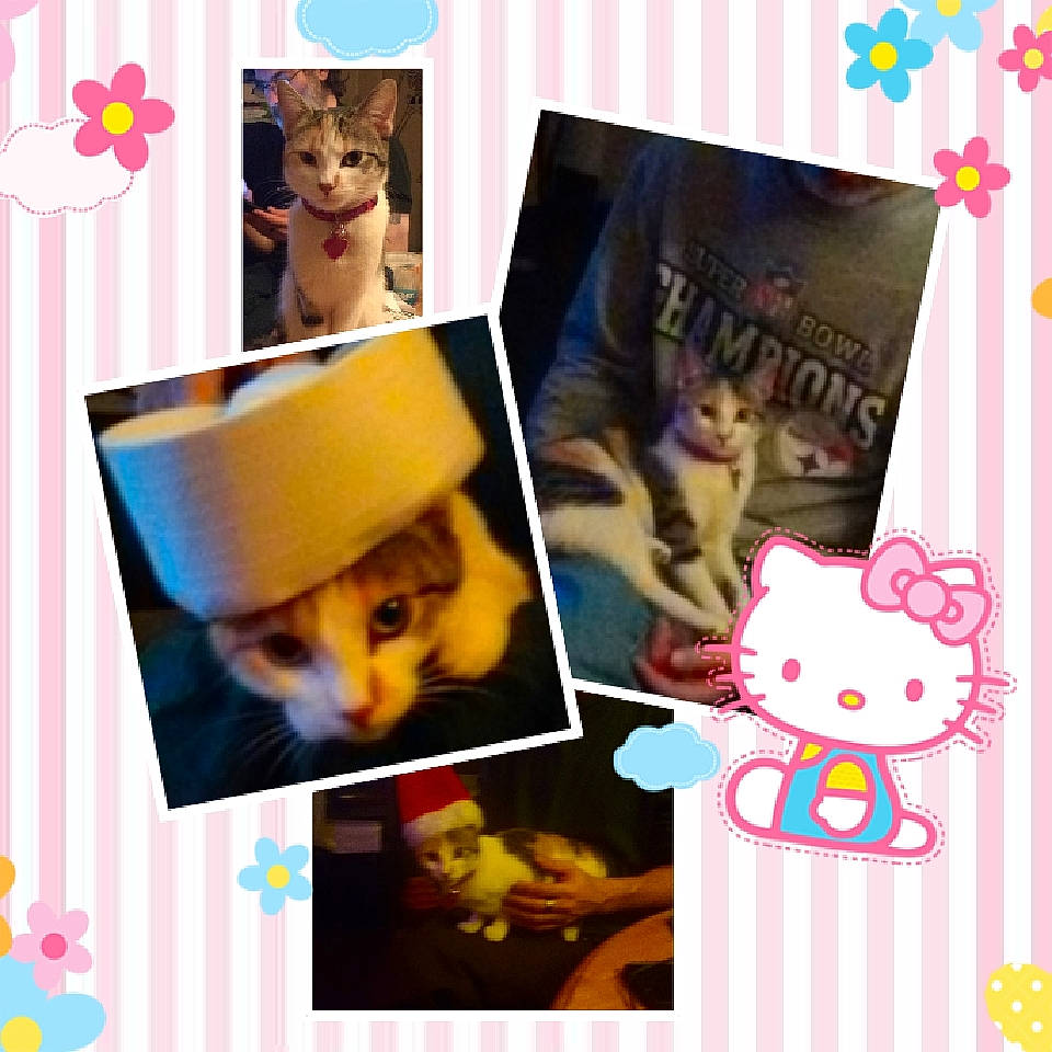 Arie is registered to the contest to win money with this photo: art, collage, person, photography, room