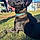 Gracie Lou