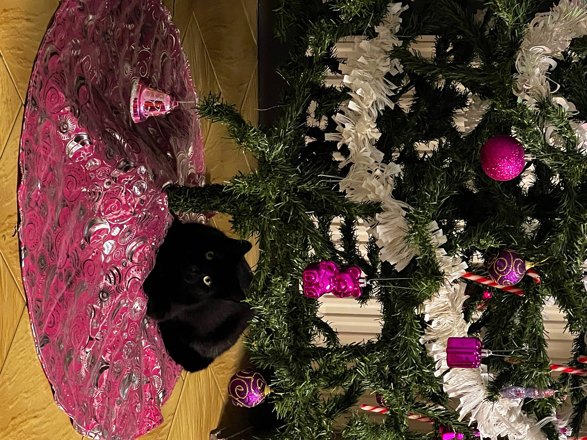 Uky a rejoint le concours — aidez-le/la à gagner de superbes lots ! annual_plant, carmine, christmas, christmas_decoration, christmas_ornament, christmas_tree, conifer, event, evergreen, fashion_accessory, fur, holiday_ornament, magenta, ornament, pattern, petal, pink, plant, purple, tints_and_shades