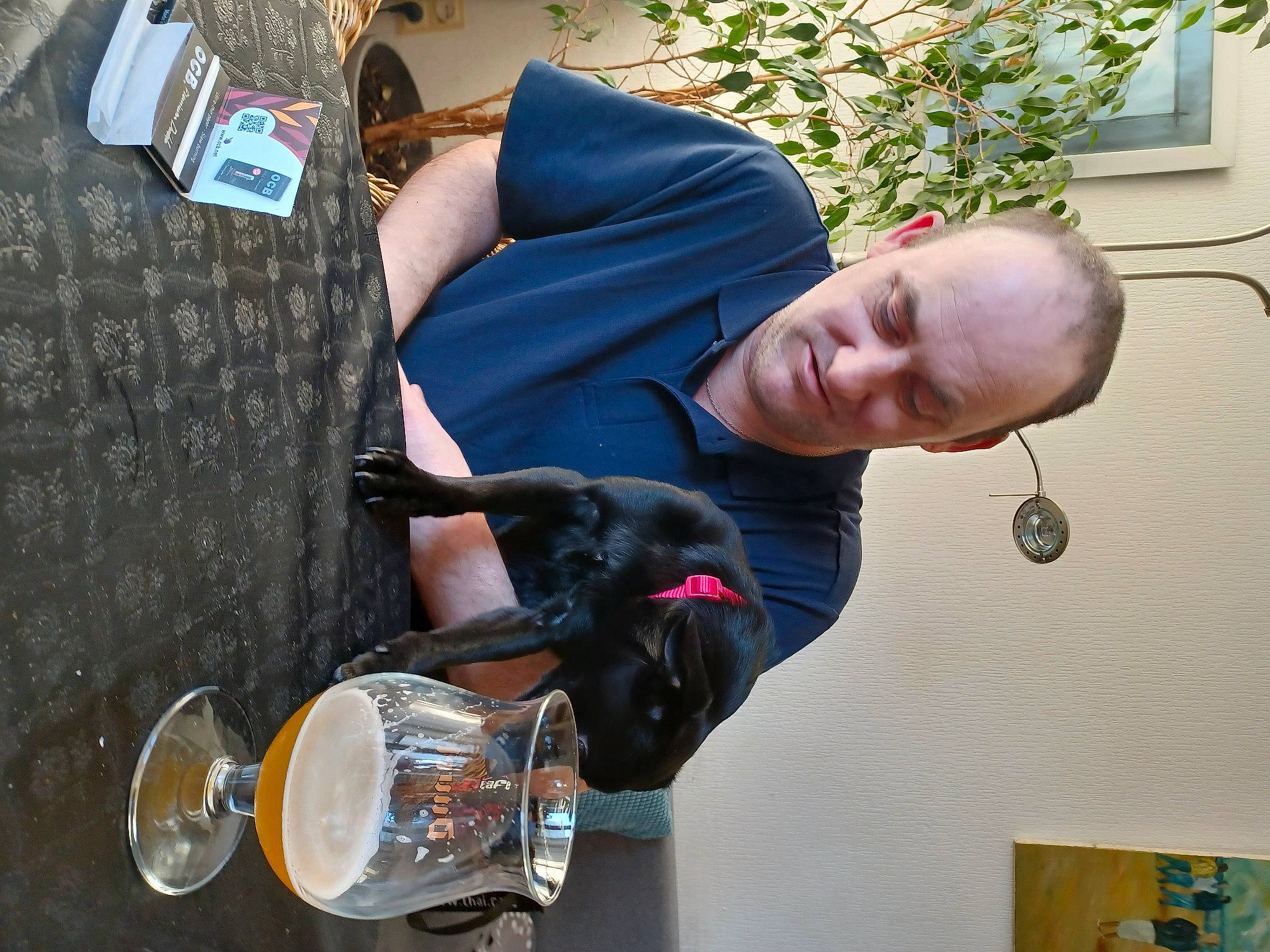 Cookies a rejoint le concours — aidez-le/la à gagner de superbes lots ! beer, carnivore, companion_dog, dog, dog_breed, drink, drinking, drinking_water, drinkware, fun, glass, happy, plant, sitting, sporting_group, tableware, tree, water