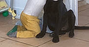 Ario a rejoint le concours — aidez-le/la à gagner de superbes lots ! child, dog, hug, black_dog, floor, tile_floor, indoors, doorway, affection, friendship, yellow_pants, long_sleeve_shirt, kneeling, pet, love, companion, home, cute, animal, tiled_floor