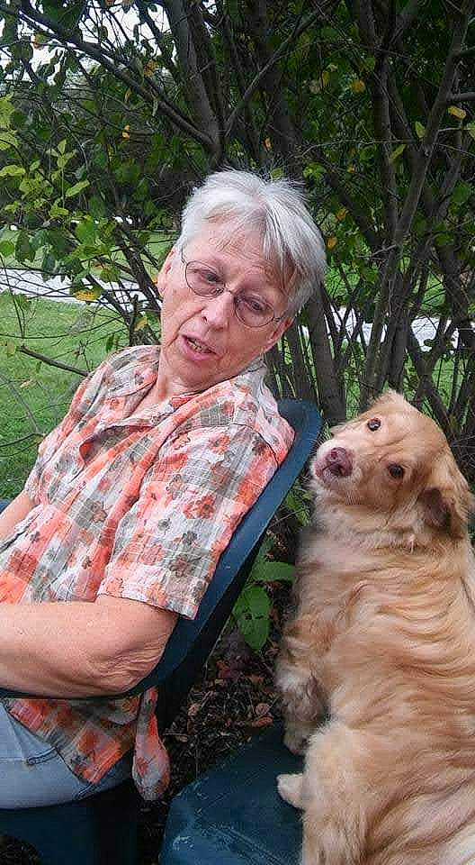 Harry joined the competition — help win amazing prizes! canidae, carnivore, companion_dog, dog, dog_breed, event, fawn, fur, pattern, plaid, sporting_group, tartan, terrier, tree