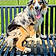 Balto