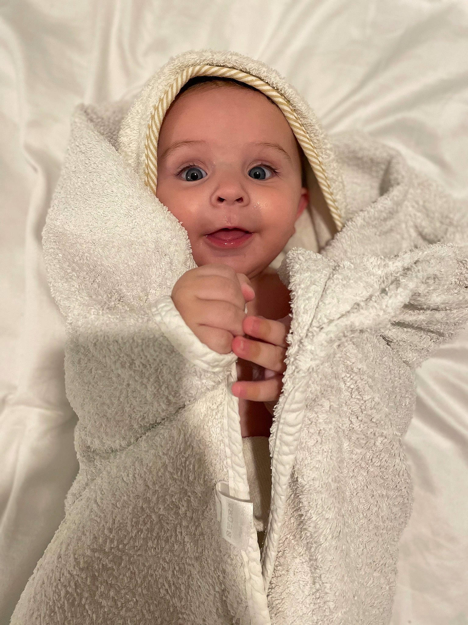 Joey is registered to the contest to win money with this photo: baby, baby_toddler_clothing, cheek, child, collar, comfort, eyelash, face, fashion_accessory, fur, gesture, jacket, linens, lip, person, skin, sleeve, textile, thumb, toddler
