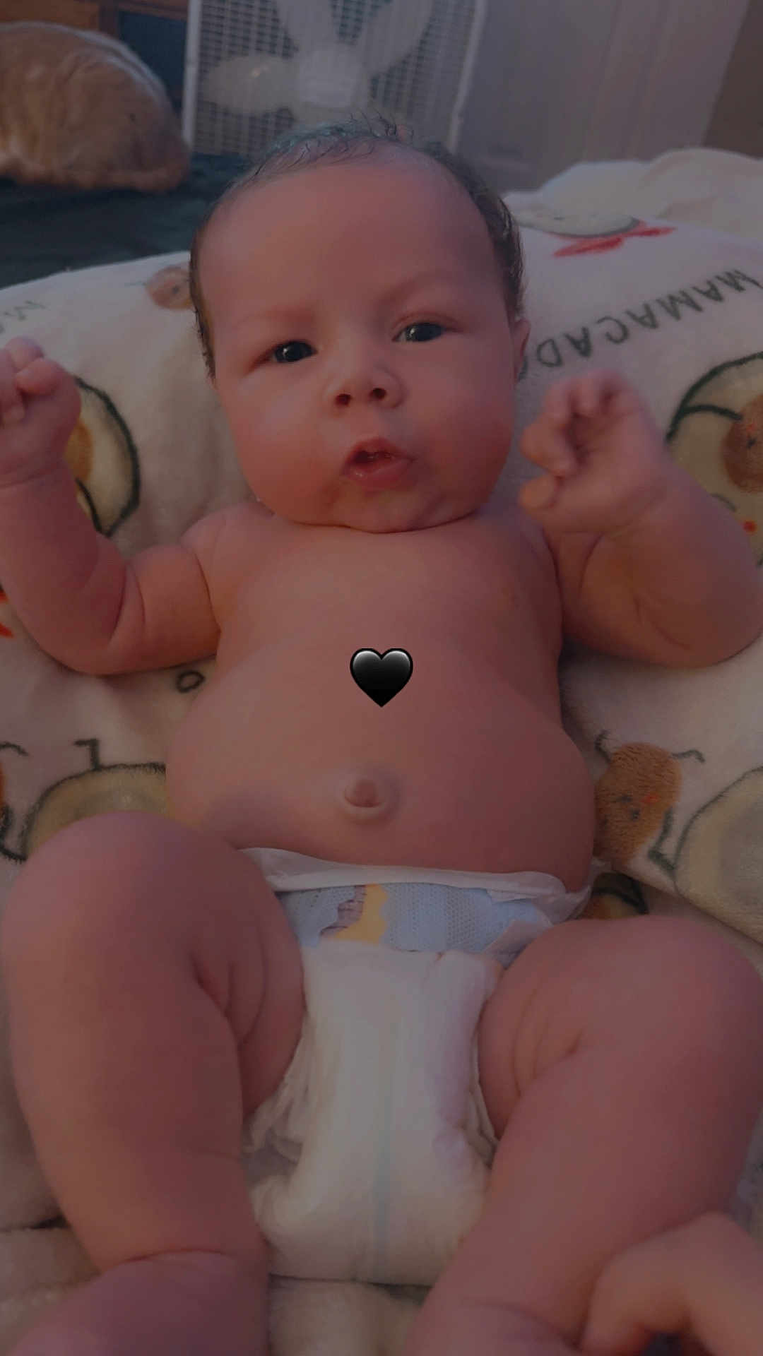 Sawyer is registered to the contest to win money with this photo: baby, infant, diaper, blanket, face, arms, legs, curious, indoor, cat, fan, pattern, cute, chubby, skin, person, child, resting, expression, cozy
