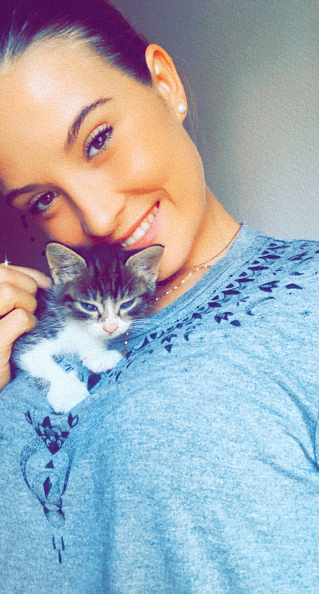 Tigrou participe au concours pour gagner de l'argent avec cette photo : beauty, blue, cat, cheek, chin, cool, eye, eyebrow, face, felidae, hair, hairstyle, kitten, lip, nose, shoulder, skin, small_to_medium_sized_cats, smile, whiskers