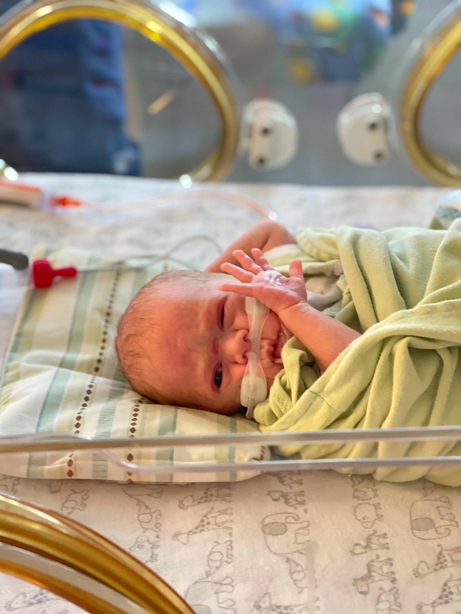 Jesse joined the competition — help win amazing prizes! baby, baby_products, baby_safety, bedding, bedtime, child, childbirth, comfort, event, health_care, hospital, infant_bed, linens, nap, person, room, service, skin, sleep, textile