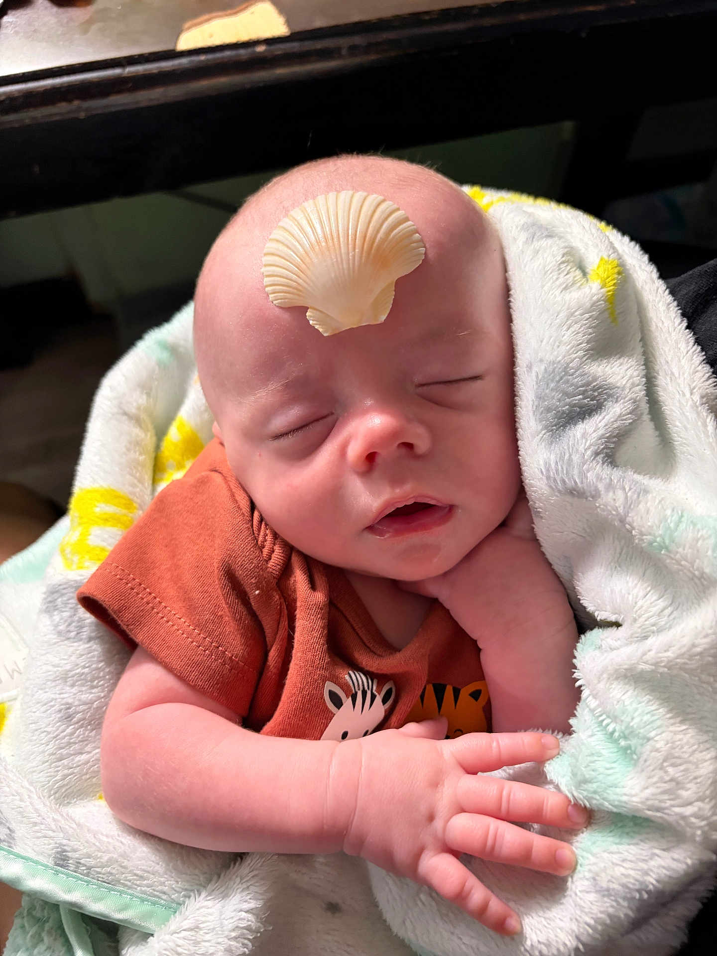 River joined the competition — help win amazing prizes! baby, infant, sleeping, blanket, shell, hand, face, clothing, cute, soft, newborn, peaceful, resting, indoors, skin, head, closed_eyes, wrapped, tiny, adorable