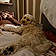 Koda Knowles