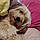 Sadie