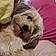 Sadie