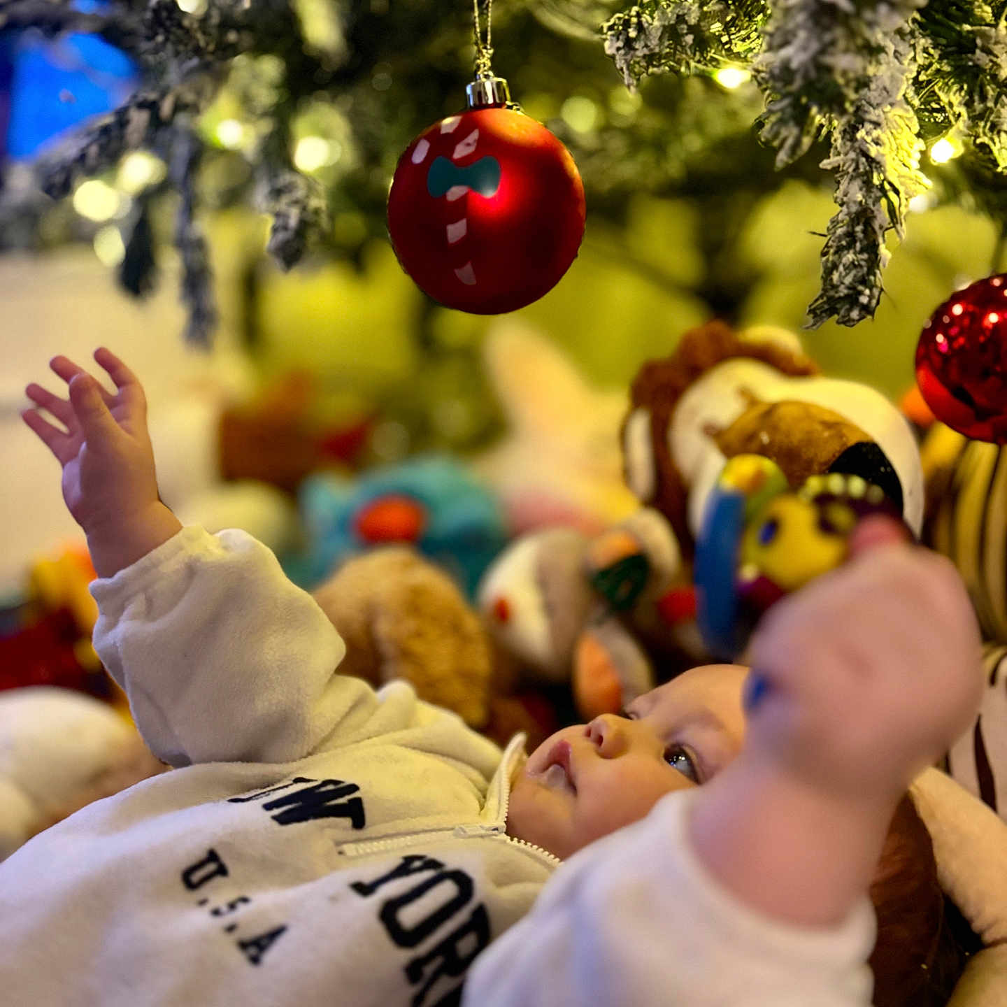 Elias joined the competition — help win amazing prizes! baby, child, christmas_tree, closeup, curious, cute, decoration, festive, holiday, holiday_season, indoor, infant, lights, ornament, reaching, soft_toys, stuffed_animal, toy, warm_lighting, white_sweater