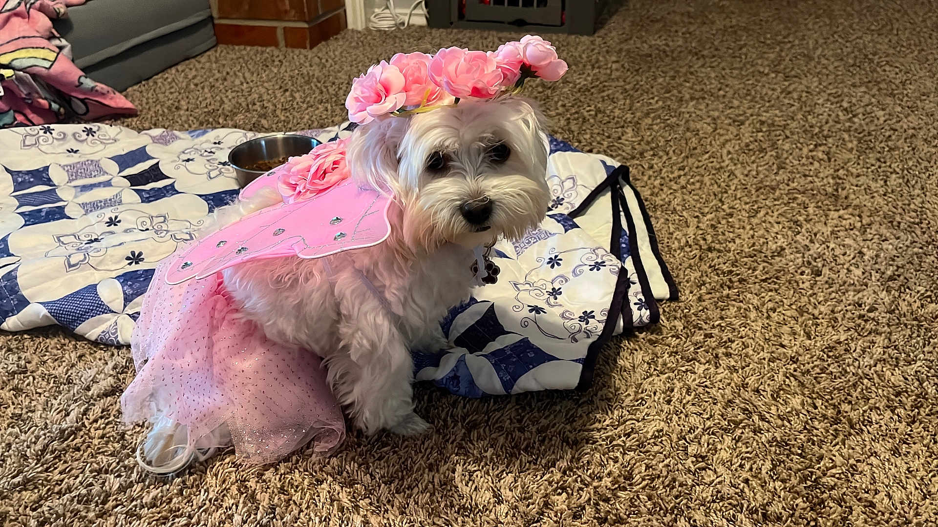 Princess