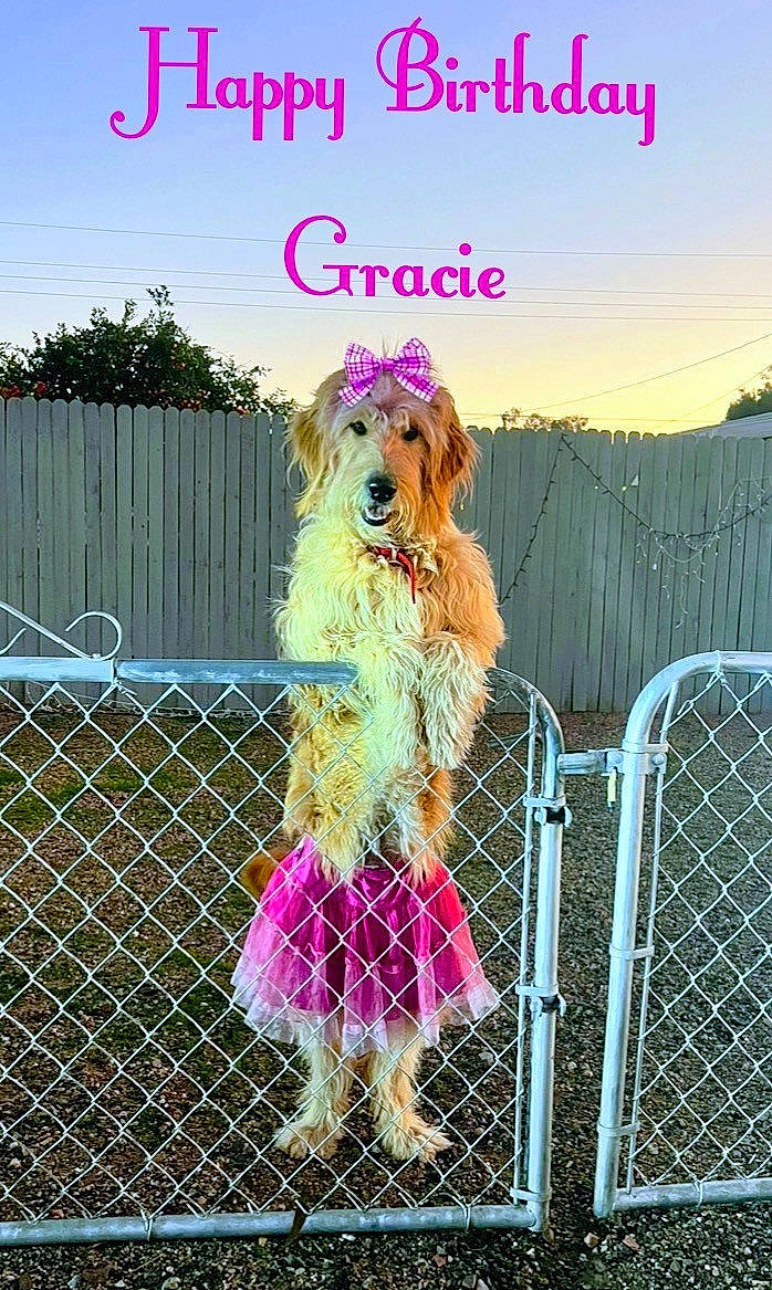 Gracie
