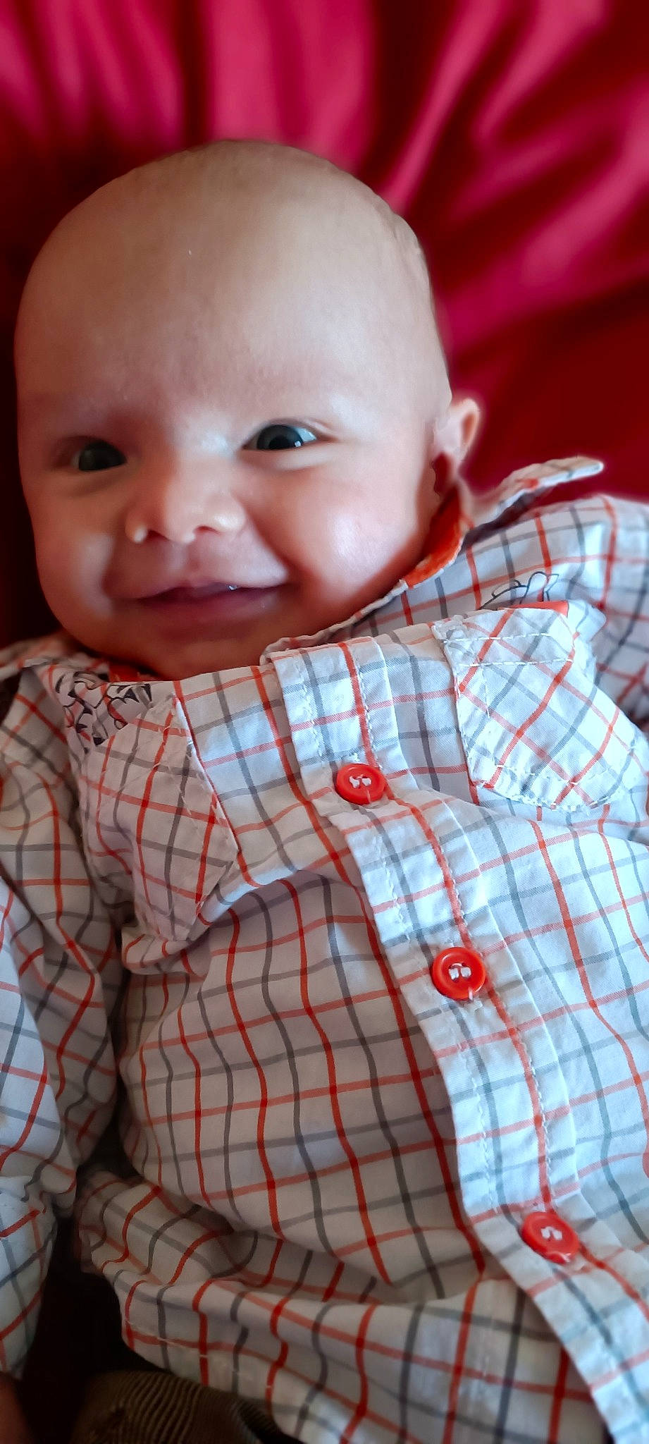 Jules participe au concours pour gagner de l'argent avec cette photo : baby, baby_toddler_clothing, cheek, chin, collar, dress_shirt, face, facial_expression, head, iris, lip, mouth, neck, nose, organ, person, skin, sleeve, smile, tartan