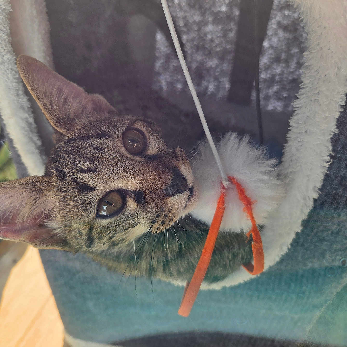 Leeloo