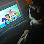cat, tablet, cartoon, teen_titans_go, black_and_white, pet, indoor, blanket, screen, animation, watching, feline, cozy, dim_light, resting, side_view, technology, entertainment, animal, cute